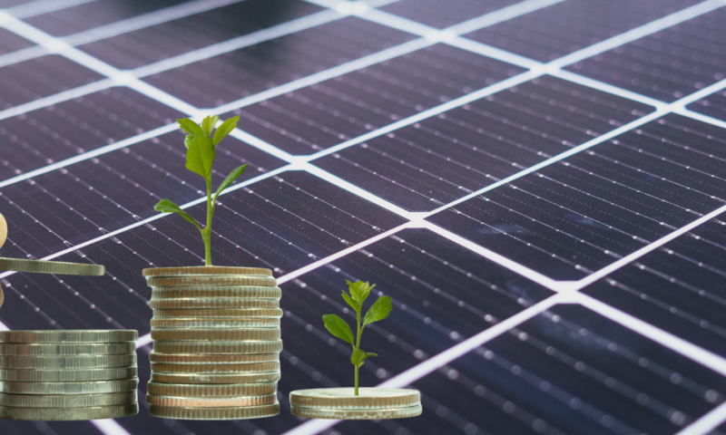 Projekt bez nazwy (31)